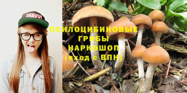 гидра Верхний Тагил