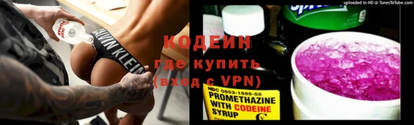 гидра Верхний Тагил