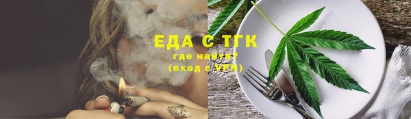 гидра Верхний Тагил