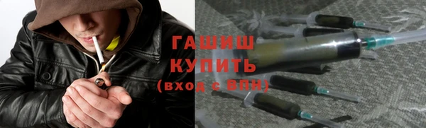 гидра Верхний Тагил