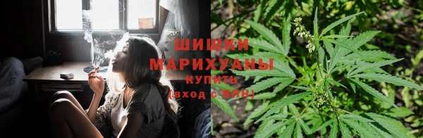 индика Верхнеуральск