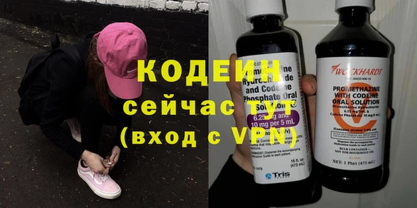 гидра Верхний Тагил