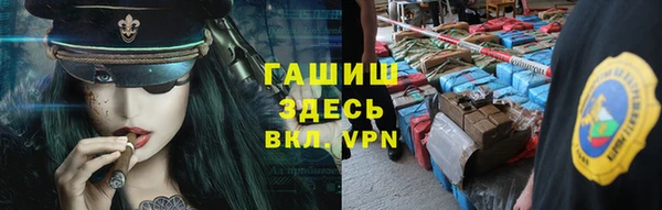 гидра Верхний Тагил