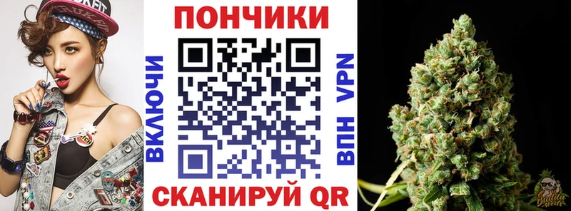 купить наркотик  Гатчина  МАРИХУАНА план 